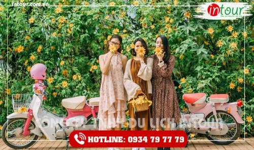 Cẩm Nang Du Lịch Đà Lạt Từ A - Z Mới Nhất
