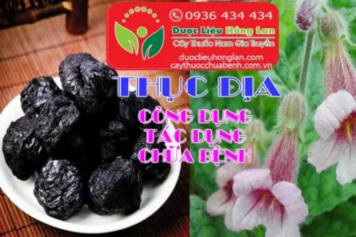 Thục Địa giá từ 240000đ/1kg, Thục Địa có tác dụng gì?, Công dụng & tác dụng chữa bệnh Thục Địa, Giá bán Thục Địa, Địa chỉ Công ty mua bán sỉ & lẻ Thục Địa khô uy tín tại Tp Hồ Chí Minh - Hà Nội ?