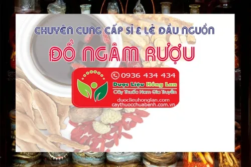 Công ty mua bán sỉ & lẻ đầu nguồn Đồ ngâm rượu, Giá bán Đồ ngâm rượu, Địa chỉ cửa hàng bán Đồ ngâm rượu uy tín tại Tp.Hồ Chí Minh (Sài Gòn) / Hà Nội, Thảo dược ngâm rượu, dược liệu ngâm rượu, đồ núi ngâm rượu