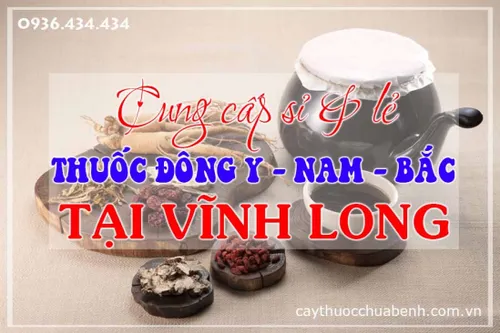 Mua bán sỉ & lẻ thuốc đông y — nam — bắc uy tín ở Vĩnh Long