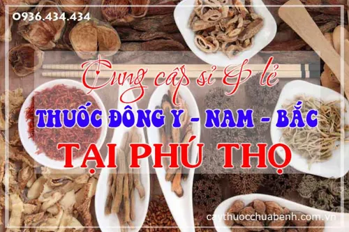 Mua bán sỉ & lẻ thuốc đông y - nam - bắc uy tín ở Phú Thọ