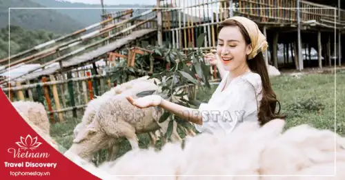 Giá Vé Tham Quan Ở Nghệ An Mới Nhất 2025