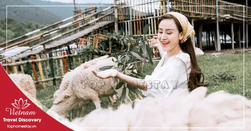 Giá Vé Tham Quan Ở Nghệ An Mới Nhất 2026