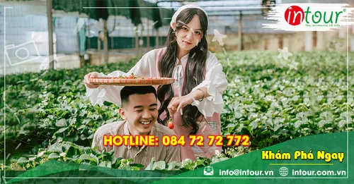 Green Box Coffee Đà Lạt: Cafe Sân Vườn, Nông Trại Xanh, Địa Chỉ Và Kinh Nghiệm Ghé