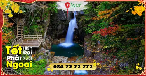 Du Lịch Tết 2026: Tour Nhật Bản 7 Ngày 6 Đêm