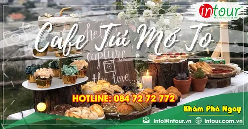 Túi Mơ To Đà Lạt: Tiệm Cà Phê, Garden Restaurant, Địa Chỉ, Giờ Mở Cửa Và Kinh Nghiệm Ghé