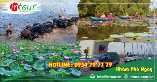 Tour Du Lịch Caravan Tháp Mười 2 Ngày 1 Đêm