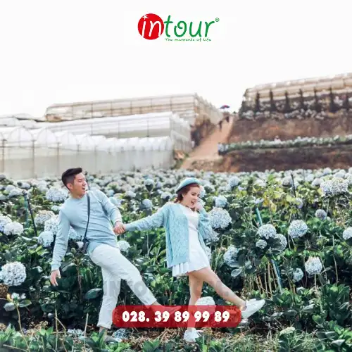 Tour Du Lịch Đà Lạt 4 Ngày 3 Đêm