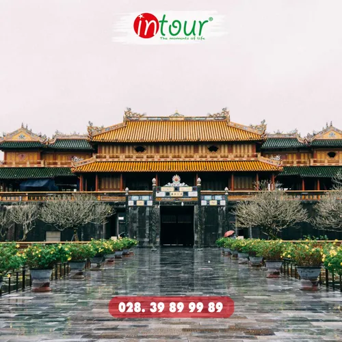 Du Lịch Tết 2026: Tour Đà Nẵng - Hội An - Bà Nà - Cù Lao Chàm 3 Ngày 2 Đêm