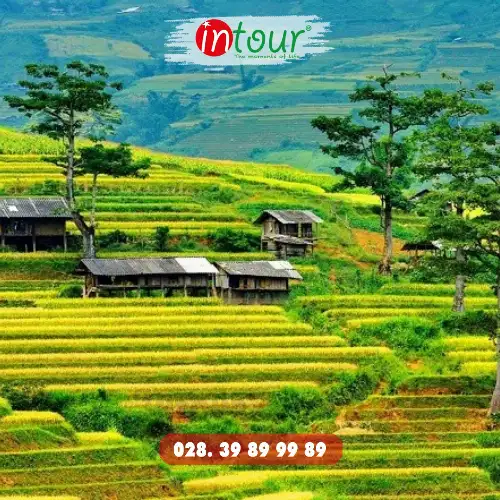 Tour Du Lịch Điện Biên Phủ - Mộc Châu - Sơn La 5 ngày 4 đêm