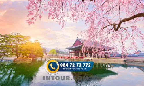 Tour Du Lịch Hàn Quốc Ngắm Hoa Anh Đào 5 Ngày 4 Đêm Đi Từ Đà Nẵng