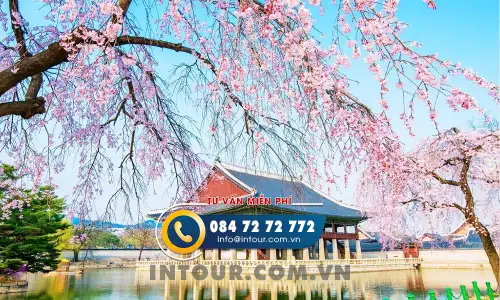 Tour du lịch Hàn Quốc 5 Ngày 4 Đêm Đi Từ Đà Nẵng: Seoul - Jeju - Nami