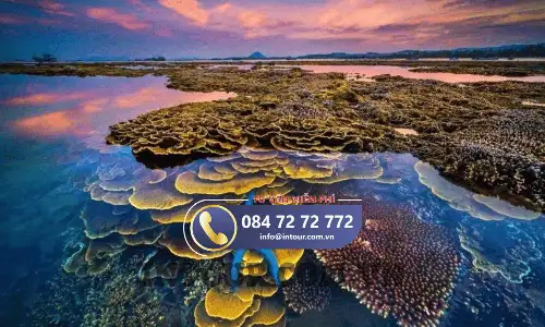 Tour Du Lịch Nha Trang - Quy Nhơn - Phú Yên 4 Ngày 4 Đêm Bằng Tàu Hoả (Xe Lửa)