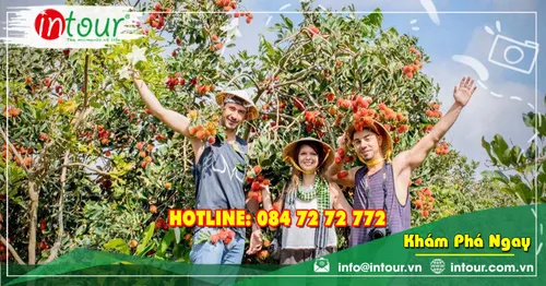 Du Lịch Tết 2026: Tour Bến Tre - Cái Mơn - Chợ Lách - Vinh Sang - Cần Thơ 4 Ngày 3 Đêm