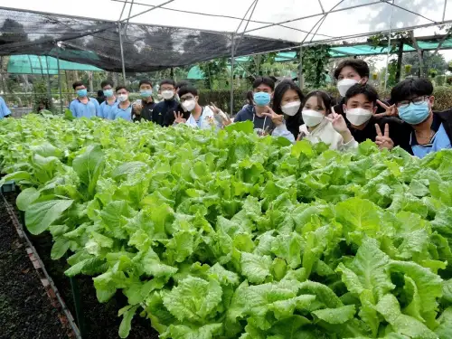 Tour Du Lịch Ngoại Khóa Nông Trang Xanh Củ Chi