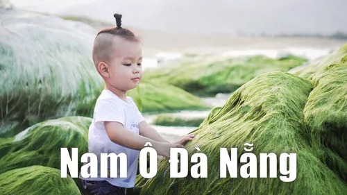 Bãi Rạn Nam Ô Đà Nẵng Có Gì Đẹp? Kinh Nghiệm Đi Ngắm Rêu Xanh, Check-in, Ăn Gỏi Cá