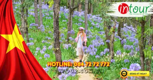 Du Lịch Lễ 30/4/2026: Tour Nha Trang - Đà Lạt 5 Ngày 4 Đêm