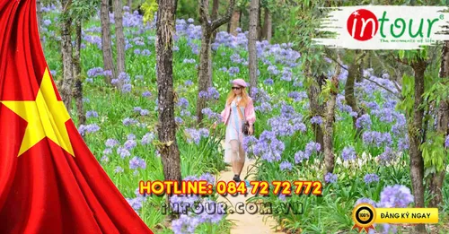 Du Lịch Lễ 30/4/2026: Tour Nha Trang - Đà Lạt 5 Ngày 4 Đêm
