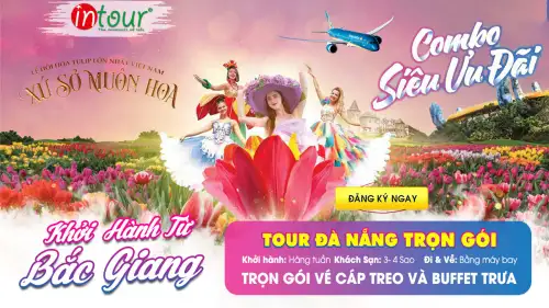 Tour Bắc Giang Đà Nẵng Trọn Gói 2025