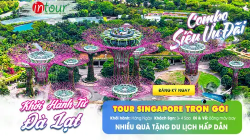 Tour Đà Lạt Singapore Trọn Gói Năm 2025