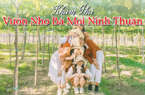 Vườn Nho Ba Mọi Ninh Thuận: Tham Quan, Chụp Ảnh, Mua Quà