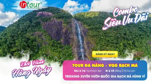 Tour Du Lịch Rừng Quốc Gia Bạch Mã 1 Ngày Trọn Gói