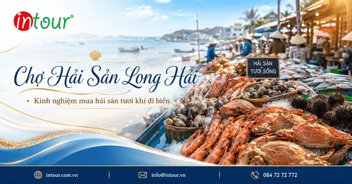 Chợ Hải Sản Long Hải Ở Đâu? Kinh Nghiệm Mua Hải Sản Tươi Khi Du Lịch Long Hải