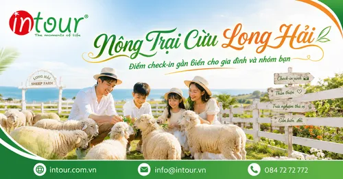 Nông Trại Cừu Long Hải: Điểm Check-In Gần Biển Phù Hợp Cho Gia Đình, Nhóm Bạn