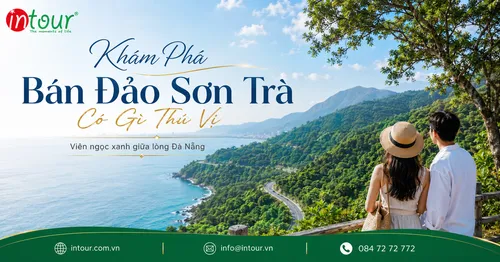 Bán Đảo Sơn Trà Có Gì Thú Vị? Kinh Nghiệm Đi Chùa Linh Ứng, Đỉnh Bàn Cờ, Biển Đẹp