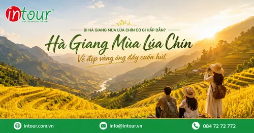 Đi Hà Giang Mùa Lúa Chín Có Gì Hấp Dẫn? Kinh Nghiệm Chọn Lịch Trình