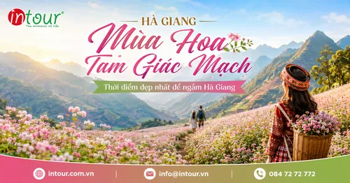 Hà Giang Mùa Hoa Tam Giác Mạch Vào Tháng Mấy Đẹp Nhất?