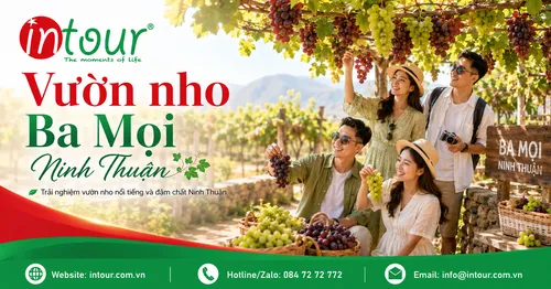 Vườn Nho Ba Mọi Ninh Thuận: Tham Quan, Chụp Ảnh, Mua Quà