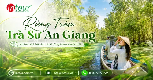 Rừng Tràm Trà Sư An Giang: Mùa Nào Đẹp Và Đi Thế Nào Cho Hợp Lý?