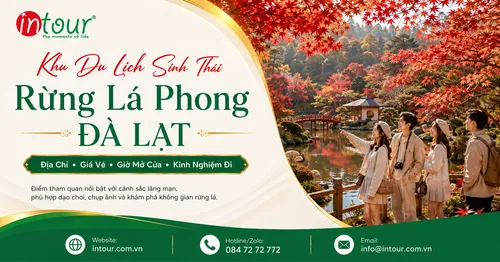 Khu Du Lịch Rừng Lá Phong Đà Lạt: Địa Chỉ, Giá Vé, Mùa Lá Và Kinh Nghiệm Tham Quan