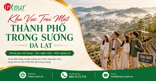 Trại Mát Đà Lạt: Săn Mây, Chùa Linh Phước, Ga Trại Mát Và Tuyến Đi Cầu Đất