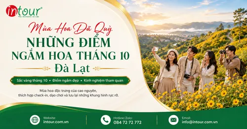 Mùa Hoa Dã Quỳ Đà Lạt: Thời Điểm Nở Đẹp, Cung Đường Ngắm Hoa Và Kinh Nghiệm Đi