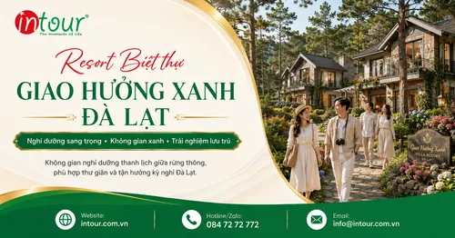 Giao Hưởng Xanh Đà Lạt: Biệt Thự Nghỉ Dưỡng Giữa Rừng Thông Và Kinh Nghiệm Chọn Lưu Trú