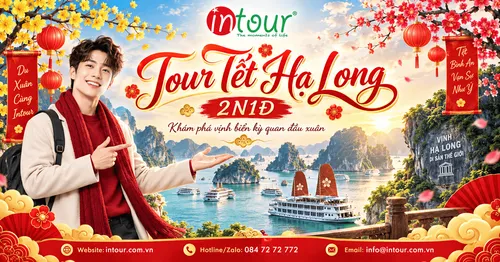 Du Lịch Tết 2027: Tour Hạ Long 2 Ngày 1 Đêm