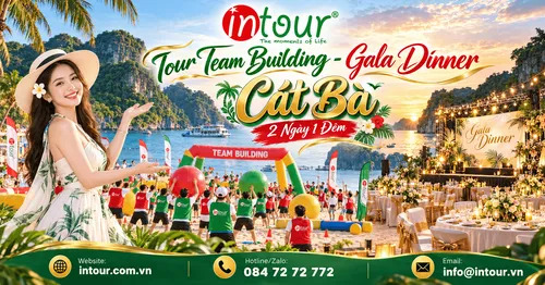 Tour Team Building - Gala Dinner Cát Bà 2 Ngày 1 Đêm