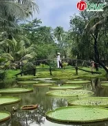 Tour Du Lịch Châu Đốc Cần Thơ Hà Tiên 3 Ngày 2 Đêm: Miếu Bà Chúa Xứ - Mũi Nai - Chùa Hang - Chợ Nổi