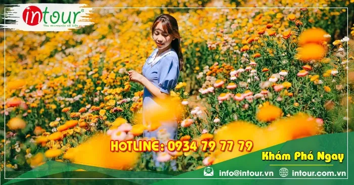 Tour Du Lịch Hà Nội Phan Thiết Đà Lạt 4 Ngày 3 Đêm Bằng Máy Bay