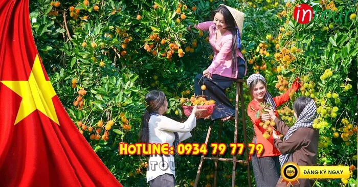 Du Lịch Lễ 30/4/2026: Tour Long An 1 Ngày