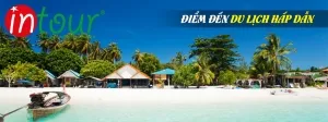 Tour Hà Giang Khởi Hành Từ Bình Phước Trọn Gói, Lịch Trình Đẹp