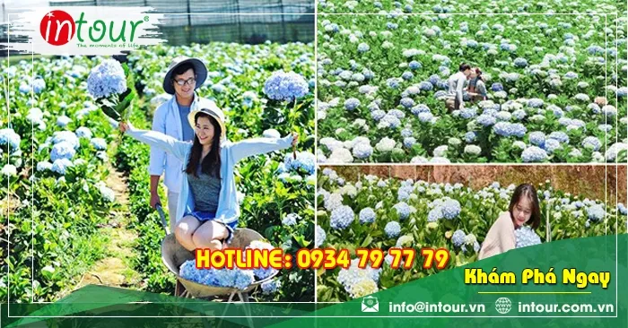 Tour Du Lịch Đà Lạt 3 Ngày 2 Đêm Đi Bằng Máy Bay