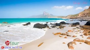 Tour Long Hải Khởi Hành Từ Bình Dương Gần, Gọn, Phù Hợp Đoàn Công Ty