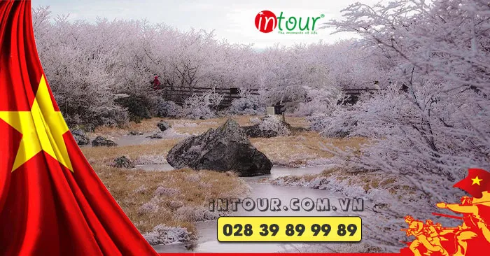 Du Lịch Lễ 30/4/2026: Tour Hàn Quốc Seoul - Everland 4 Ngày 4 Đêm
