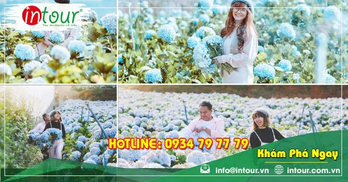 Tour Long Hải Khởi Hành Từ Đồng Tháp Trọn Gói Cho Công Ty, Gia Đình