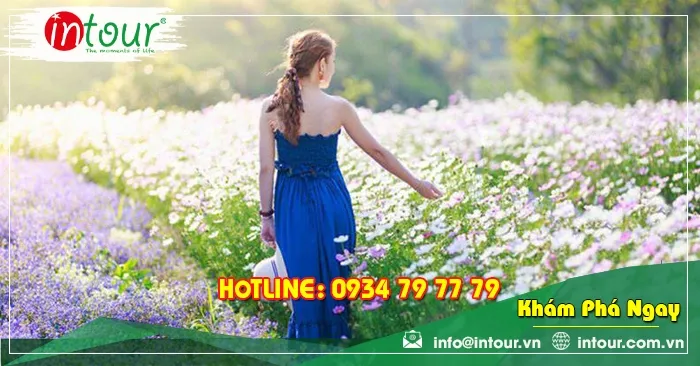 Tour Ninh Chữ Vĩnh Hy Khởi Hành Từ Vĩnh Long Trọn Gói