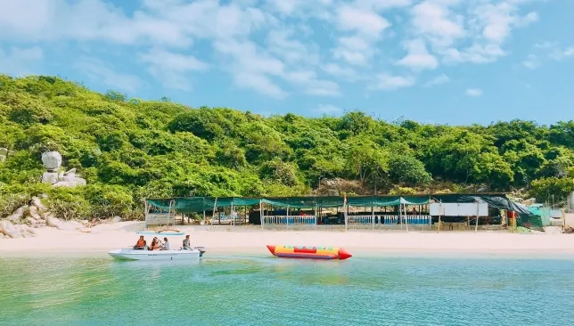 Tour Dã Ngoại - Cắm Trại - Câu Cá - Bãi Cóc - Vịnh Vĩnh Hy - Ninh Chữ 2 ngày 2 đêm