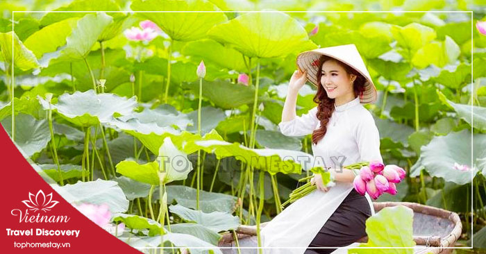 Cập nhật giá vé các địa điểm tham quan ở Đồng Tháp Mới Nhất